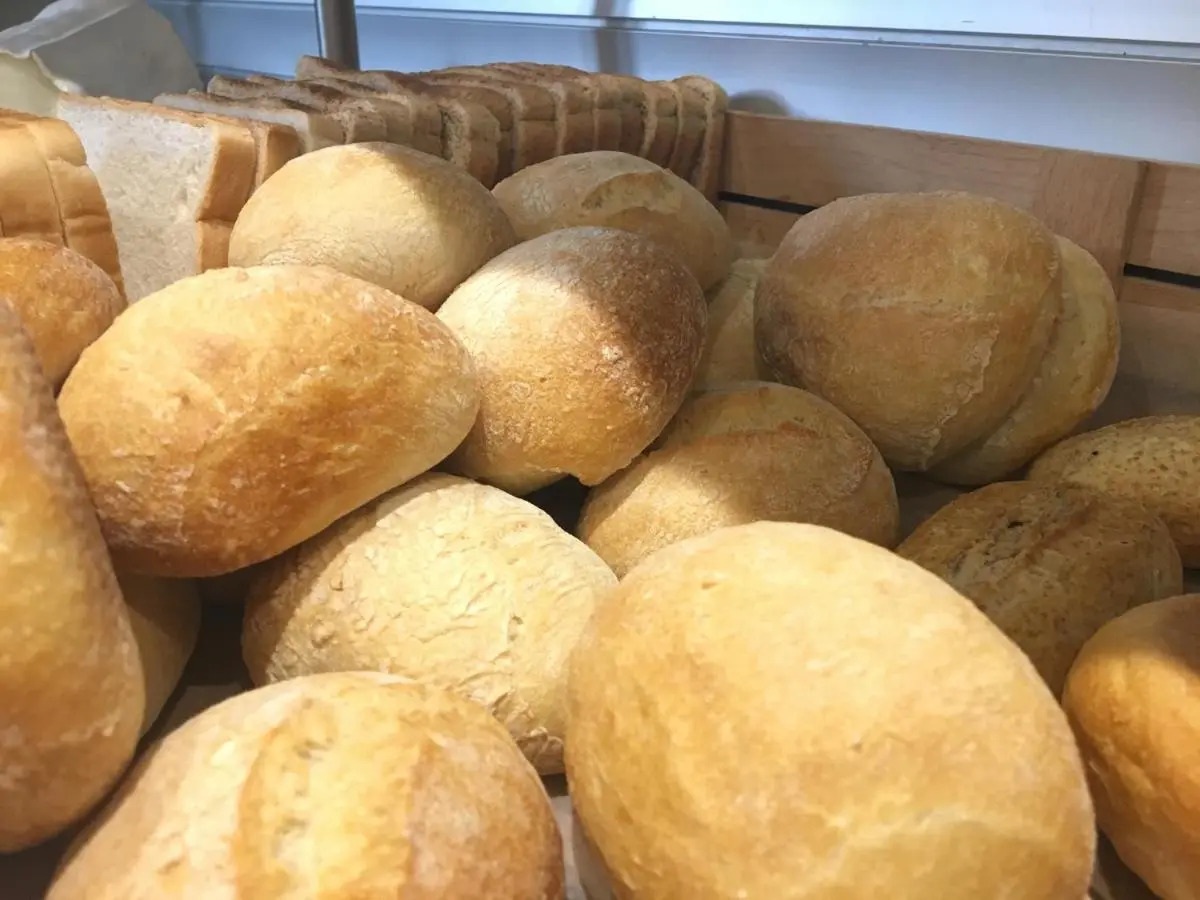 Photo - Hotel Sant Roc