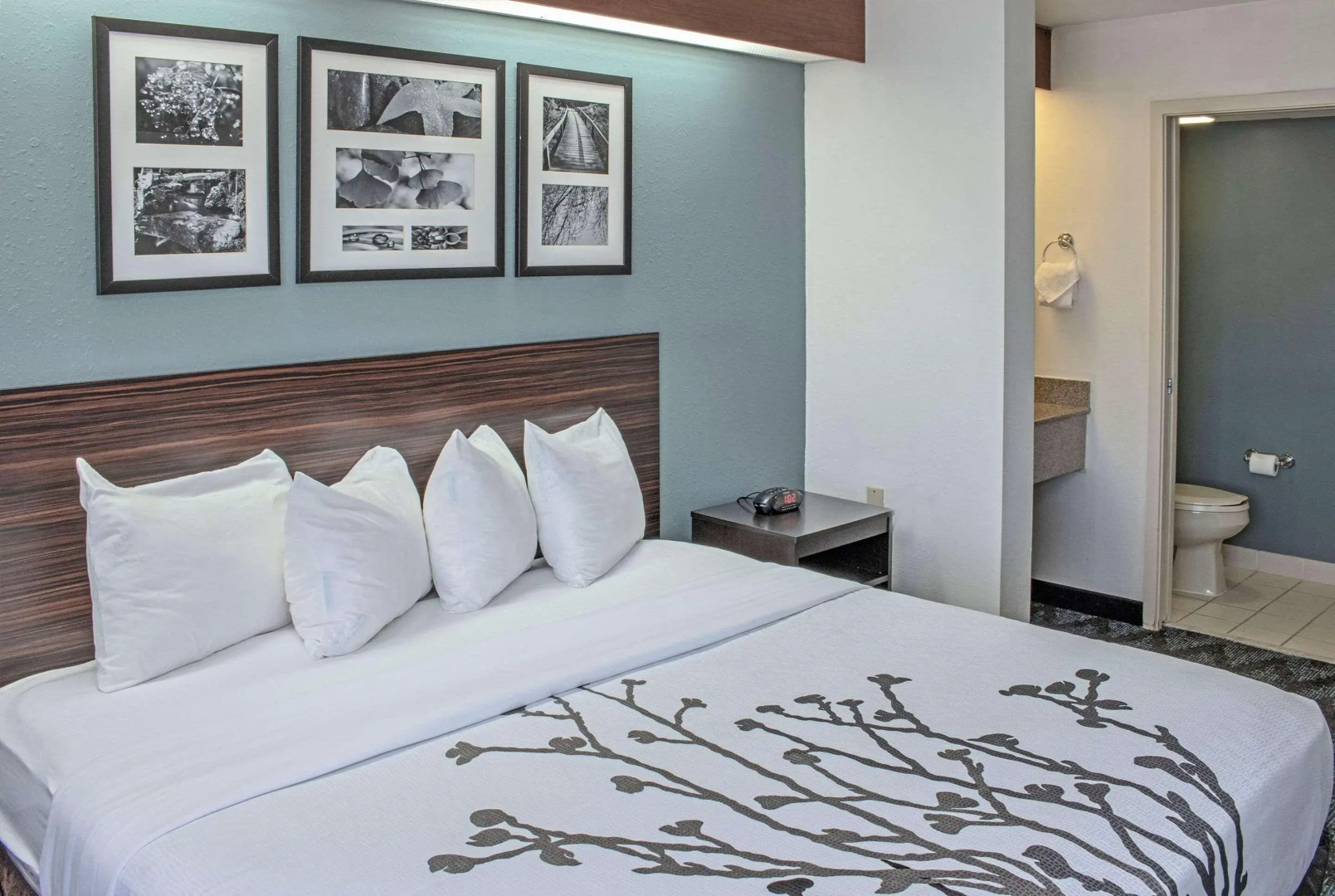 Foto - Sleep Inn Lake Wright - Norfolk Airport