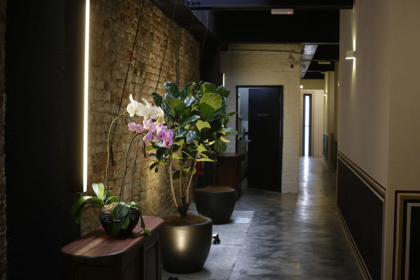 Foto - Tian Jing Hotel