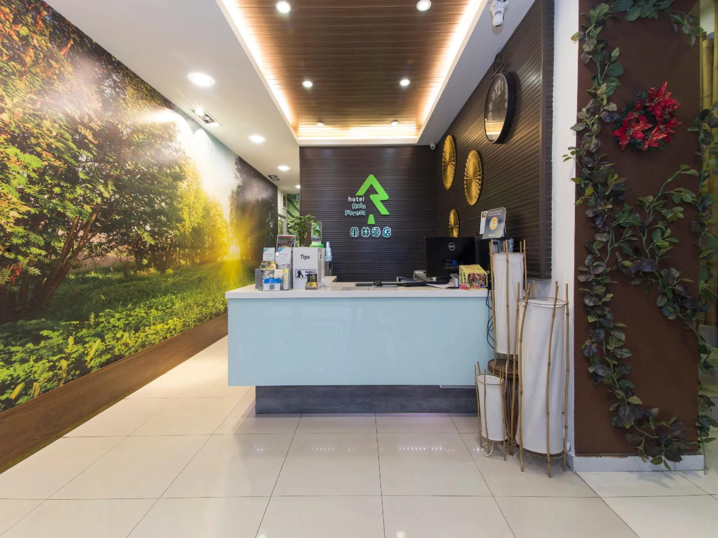 Foto - Rain Forest Hotel