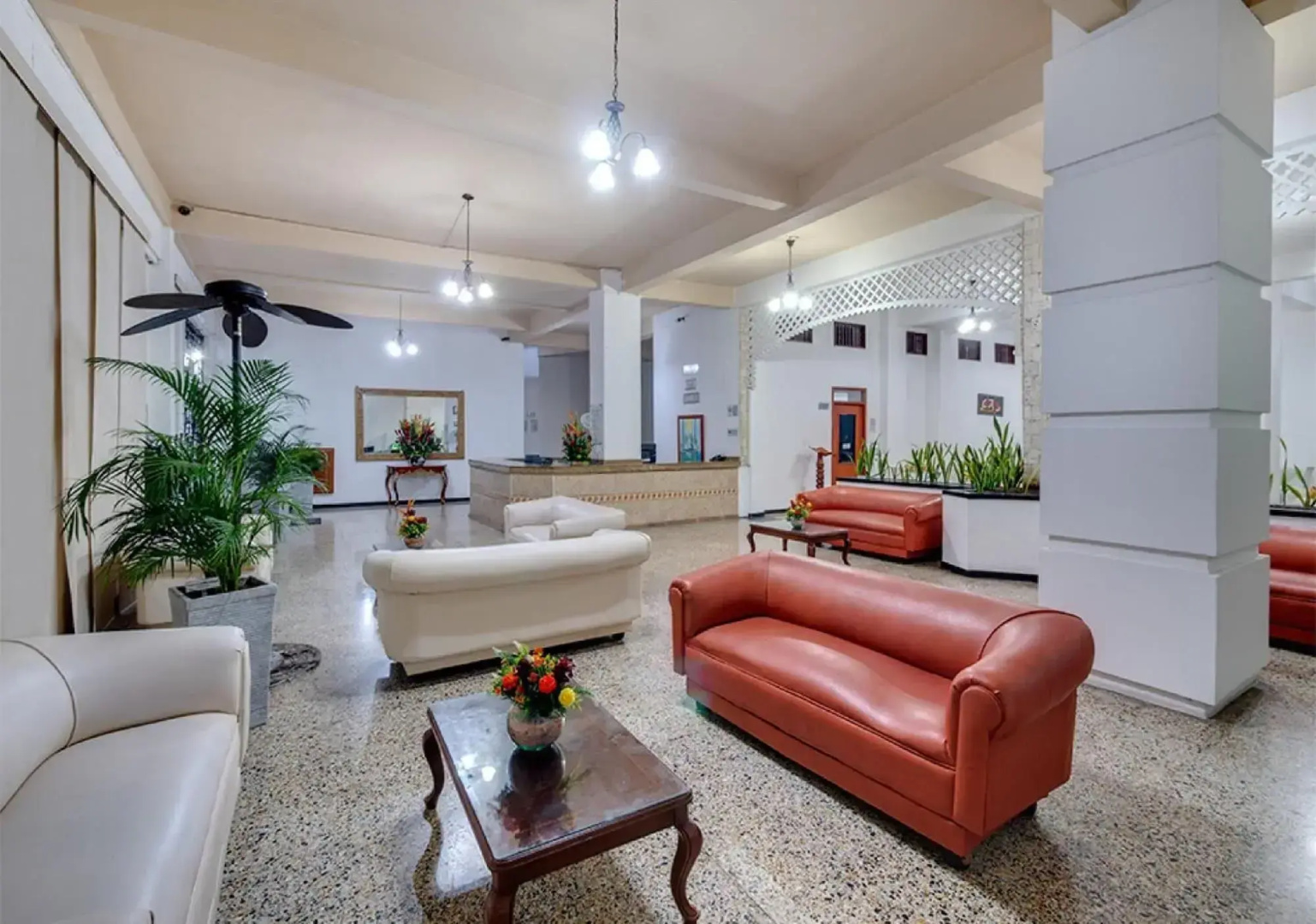 Foto - Hotel Dorado Plaza Centro Histórico