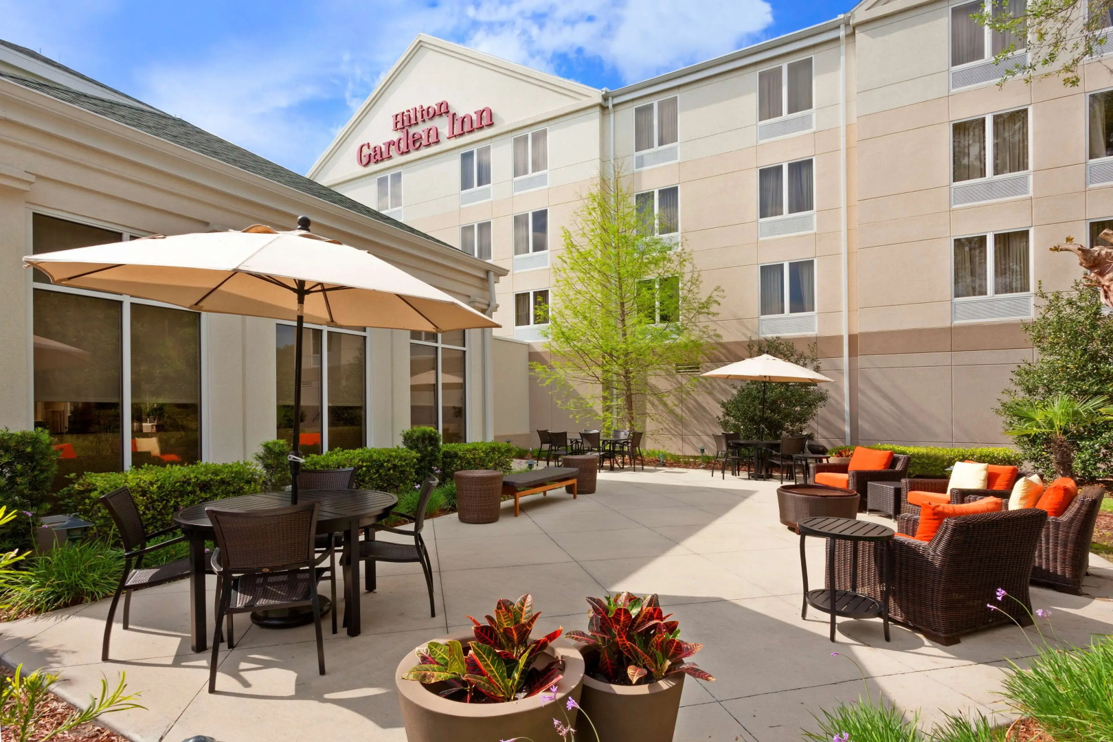 Foto - Hilton Garden Inn Gainesville