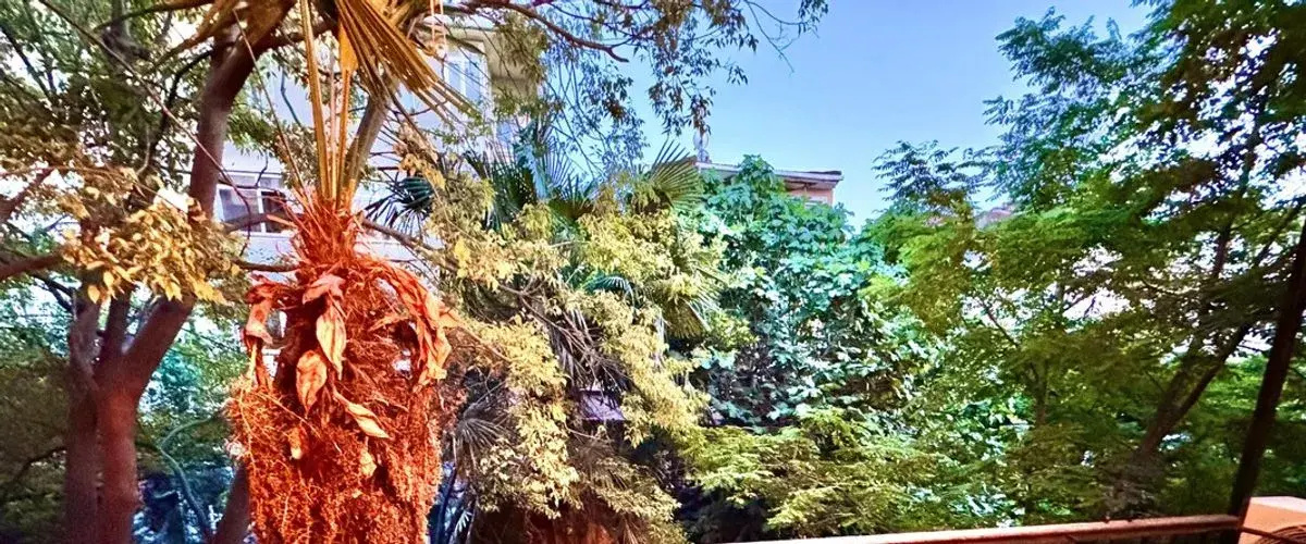 Foto - Otel Kadiköy