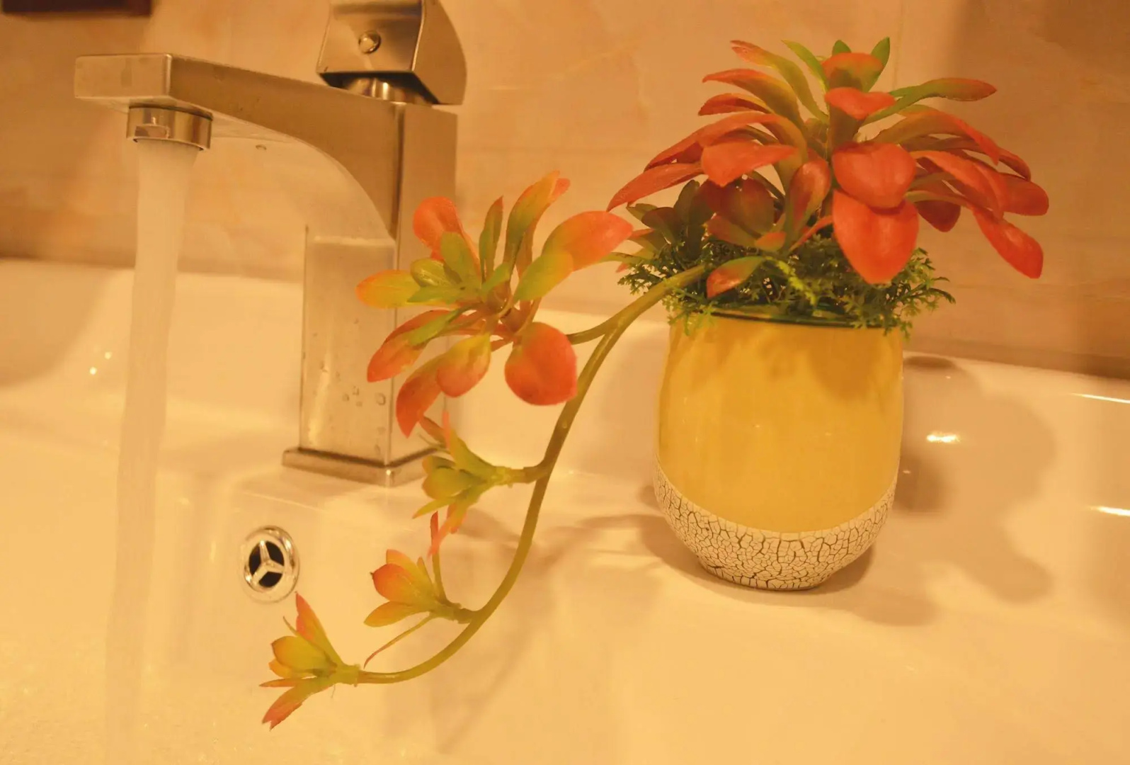 Foto - San Premium Hotel