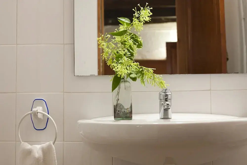 Foto - Finca Son Sureda Agroturismo