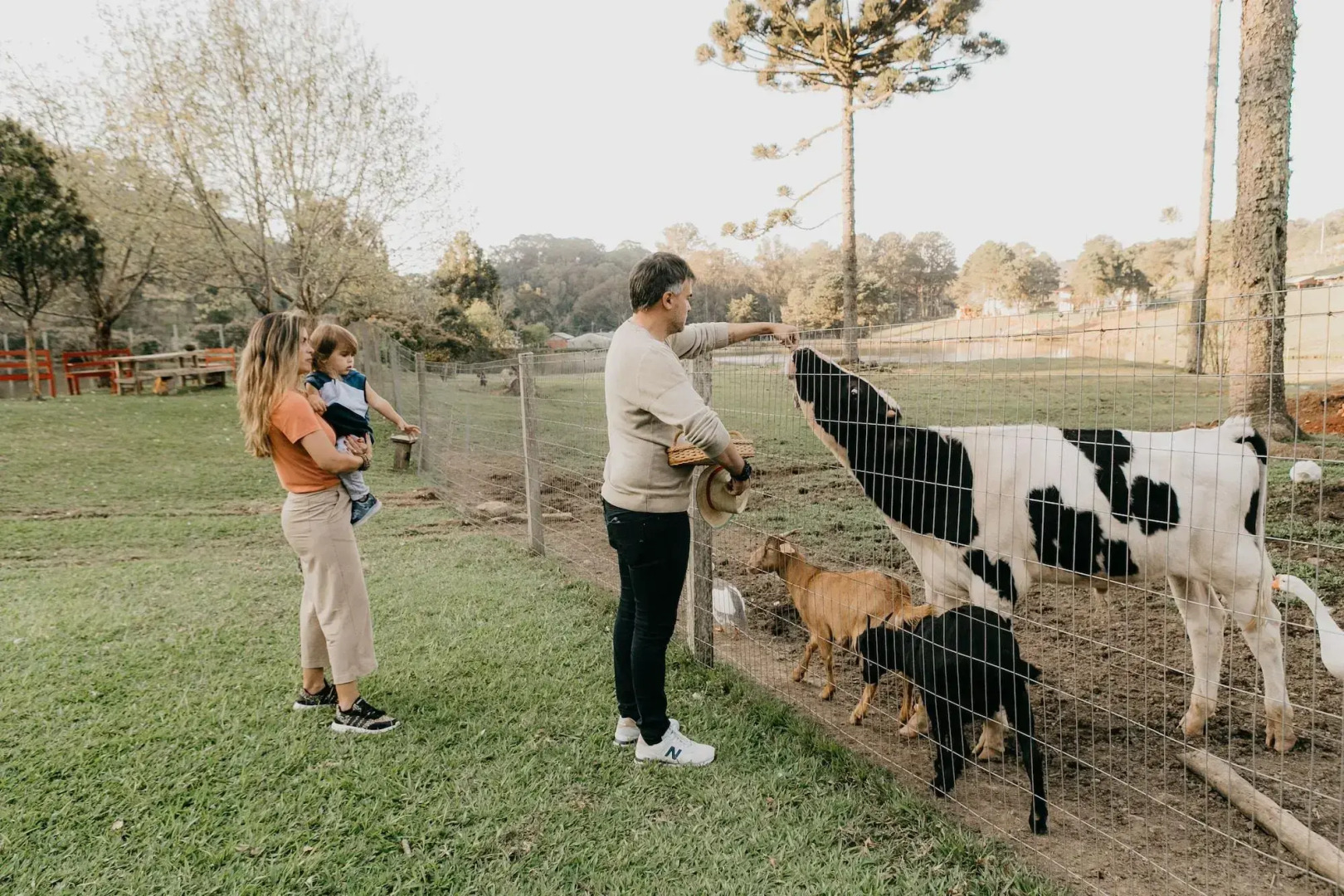 Foto - Hotel Fioreze Chalés