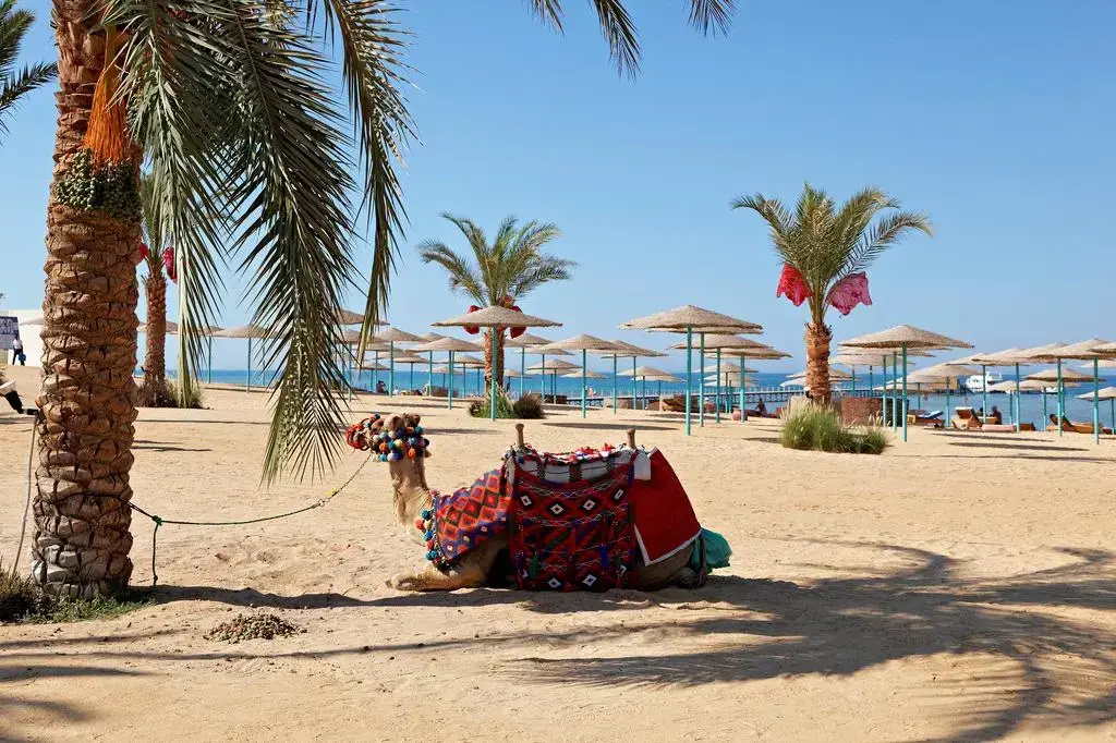 Foto - Three Corners Sunny Beach Resort