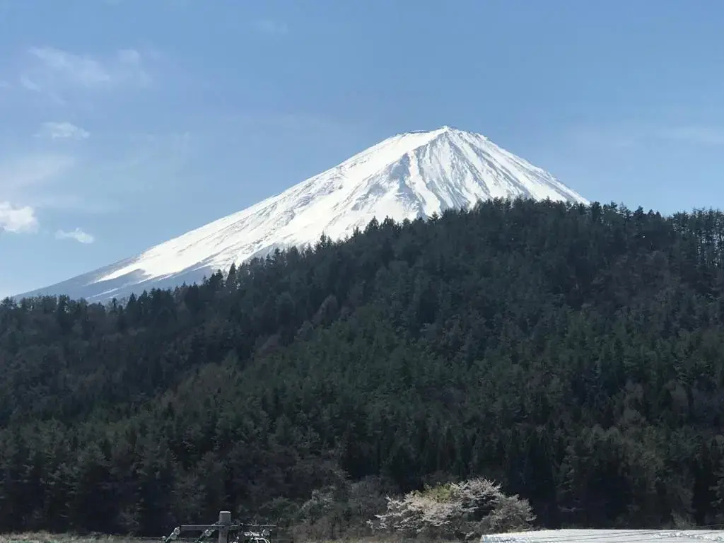 Photo - Fujibou Hotel
