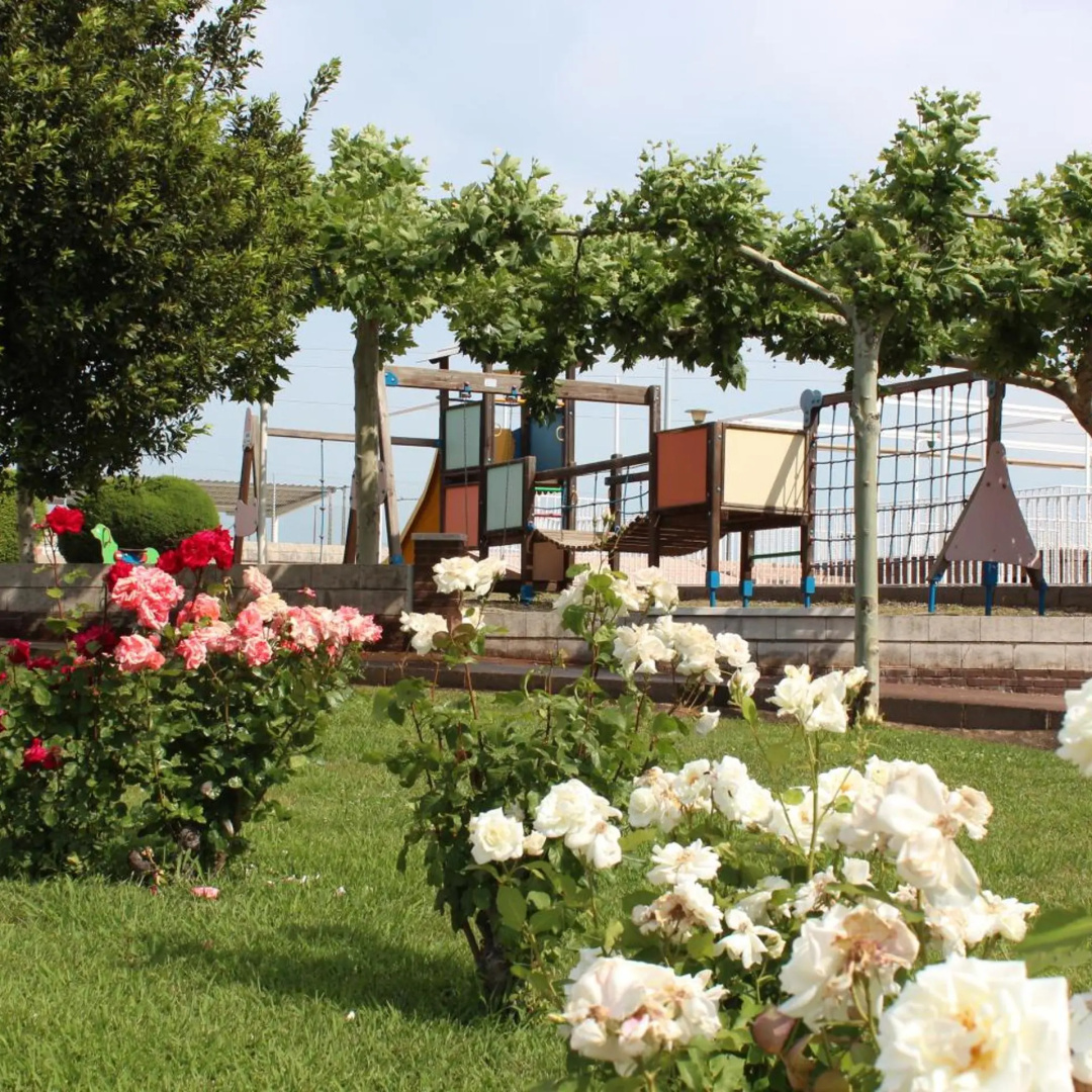 Photo - Hotel Azar