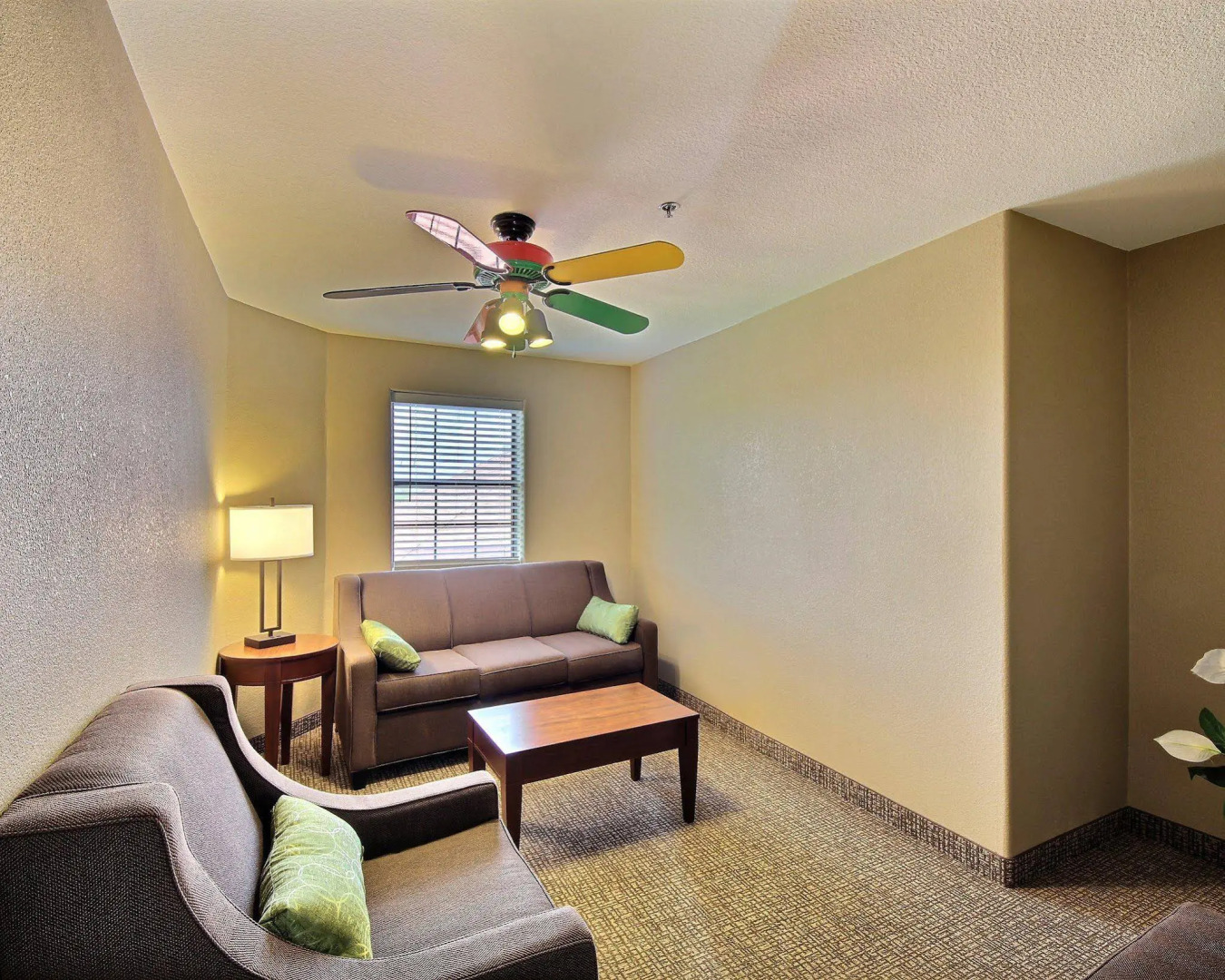 Foto - Comfort Inn Edinburg South