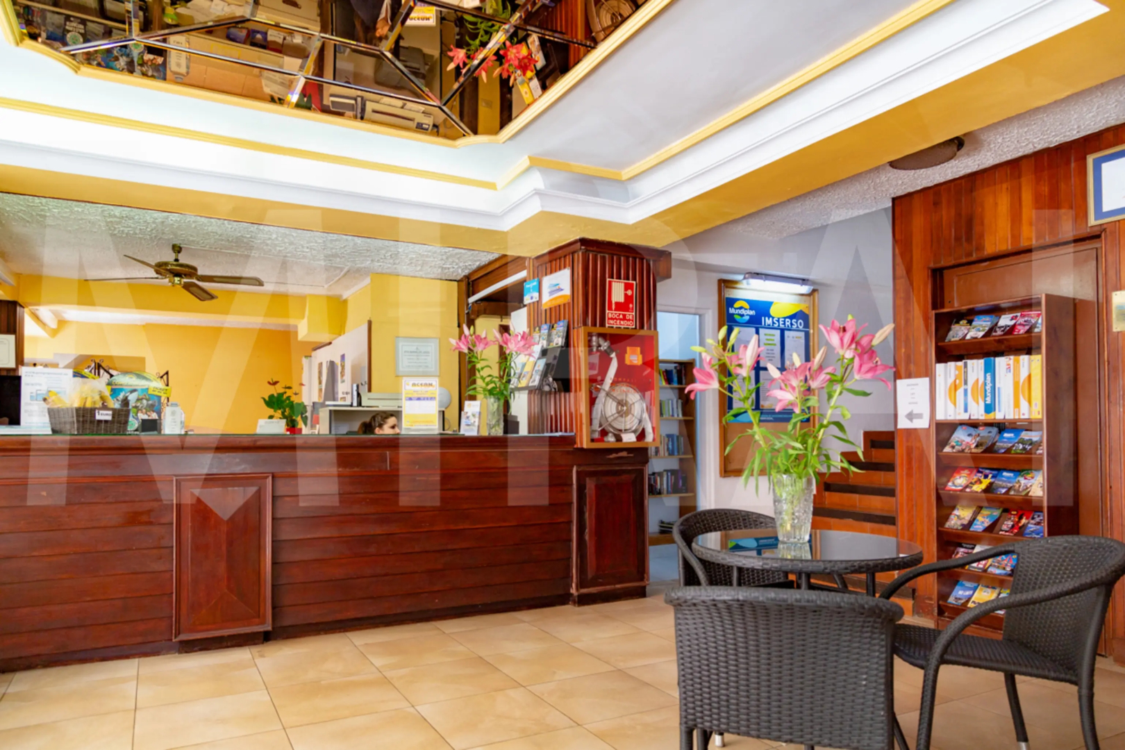 Photo - Hotel Tropical