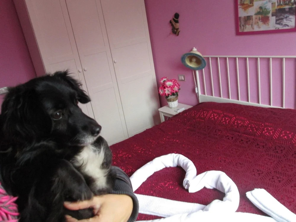 Foto - Casa particular underground