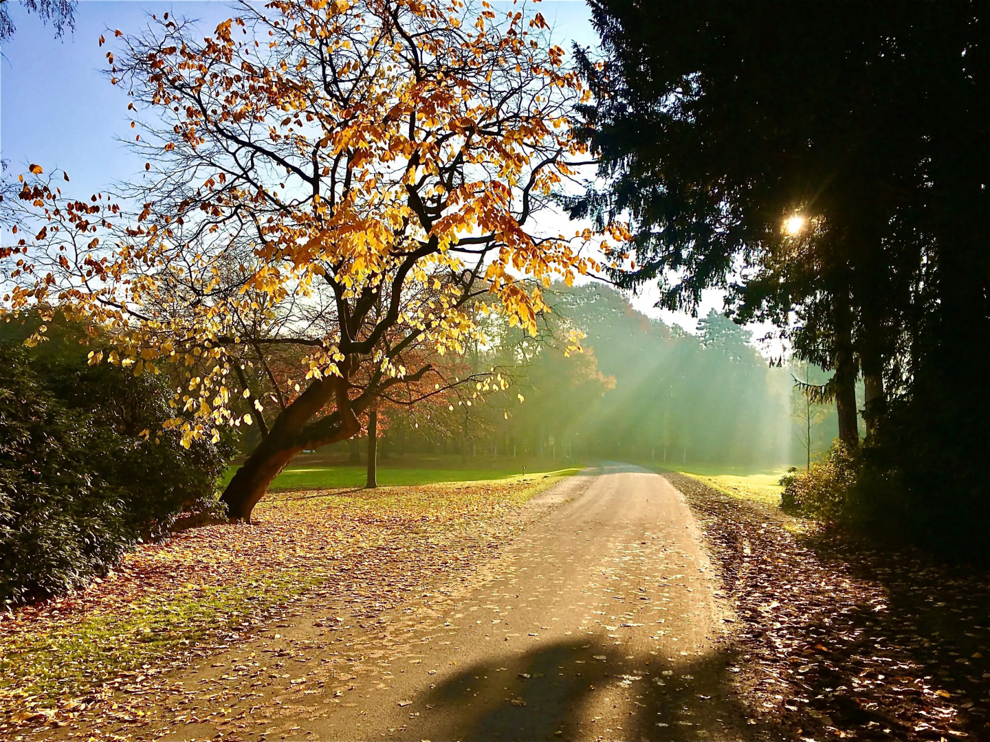 Photo - Radisson Blu Hotel Bremen