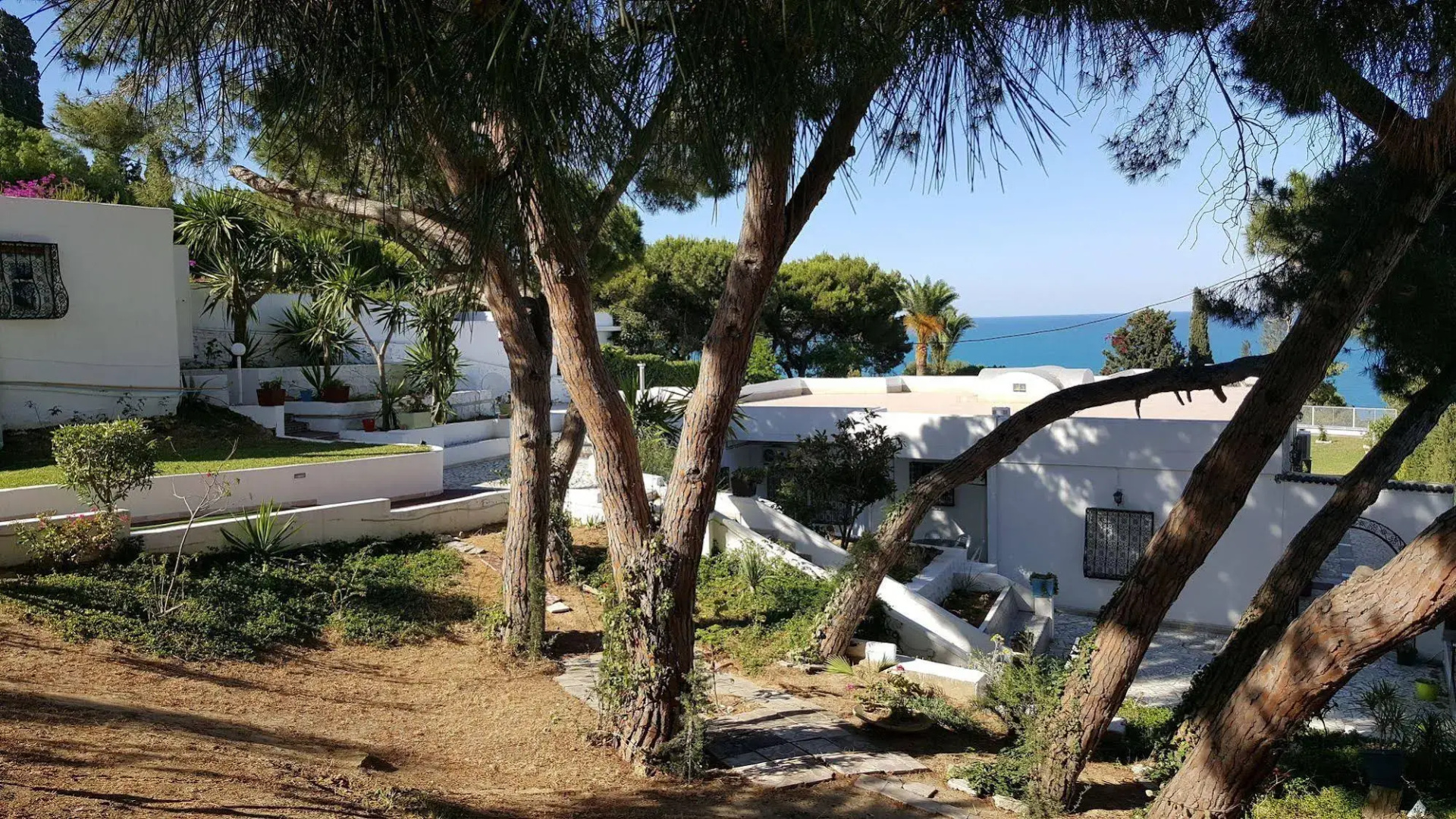 Photo - Villa Ambre