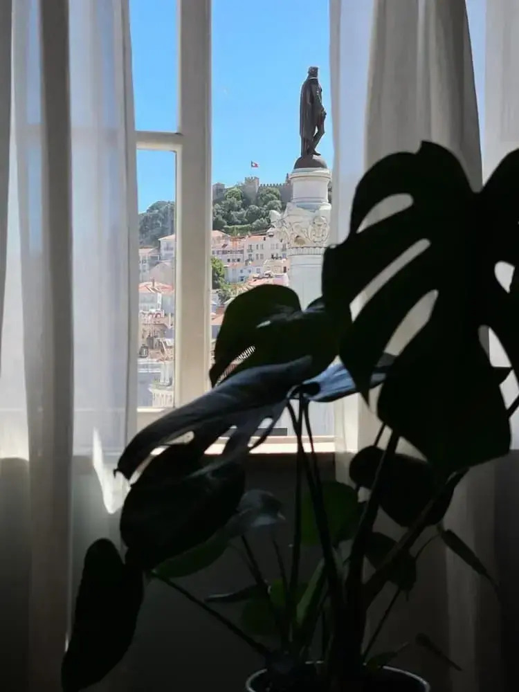 Photo - Rossio Hostel