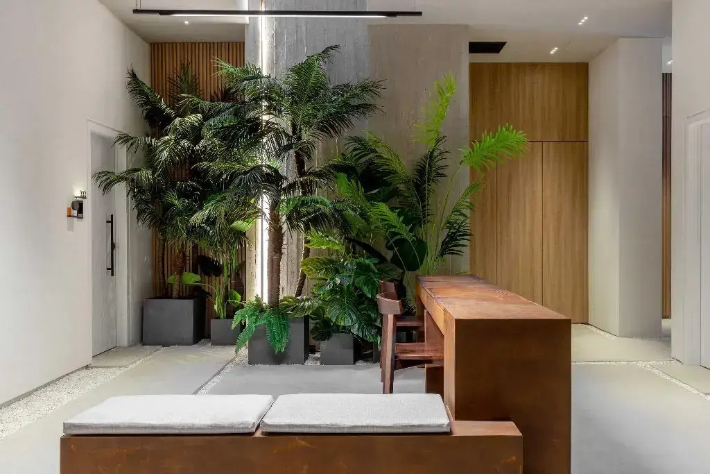 Foto - The Newel Psychiko