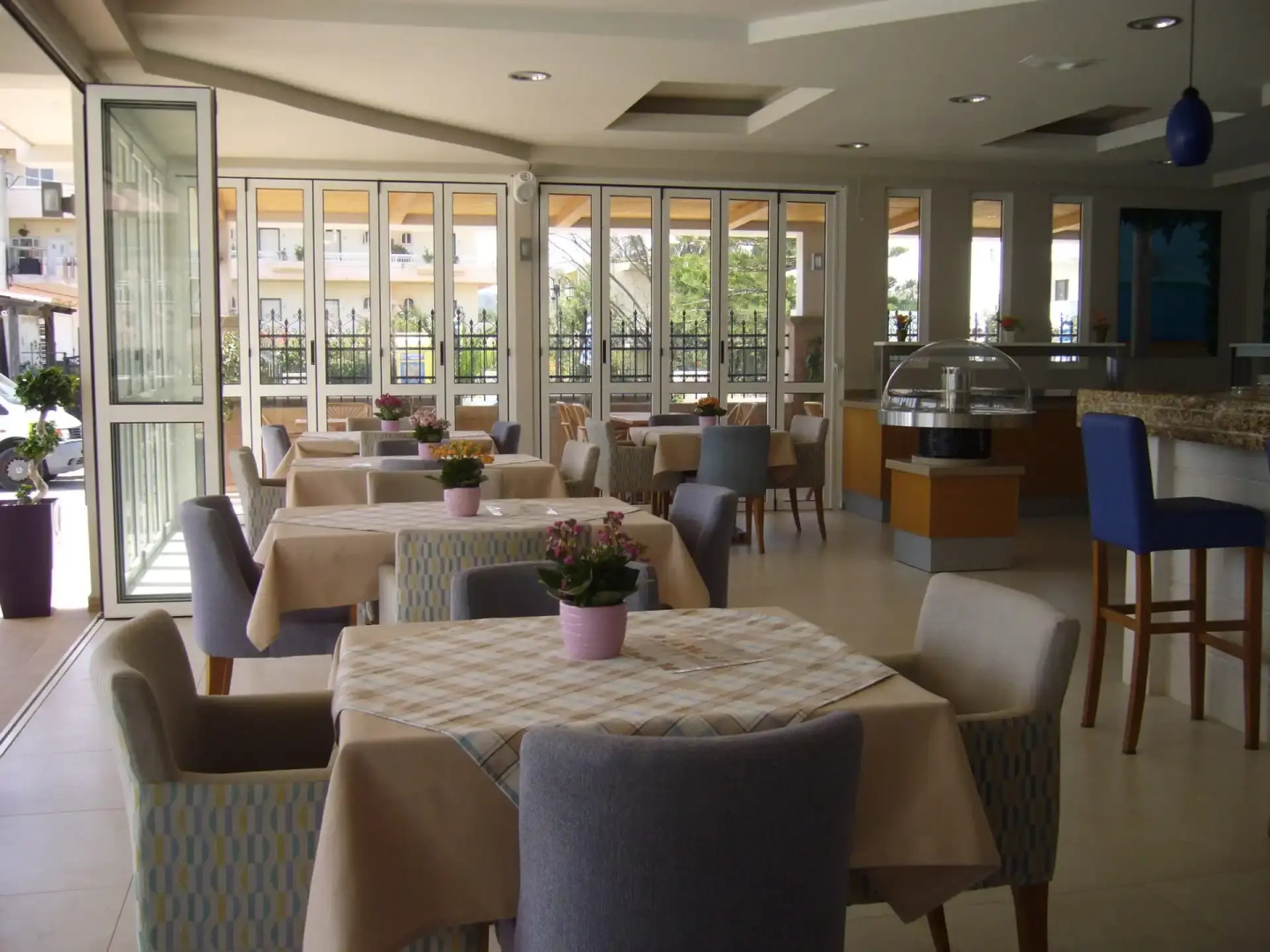 Foto - Rhodian Rose Hotel