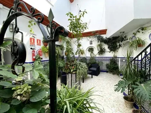 Foto - Hostal Mellizo