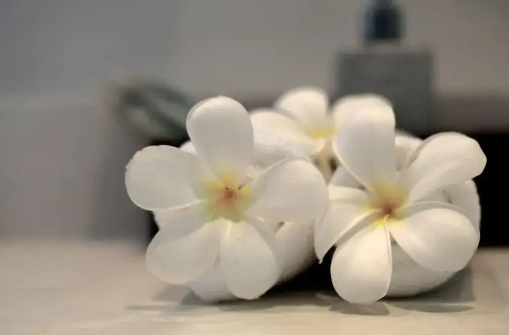 Photo - The Cove