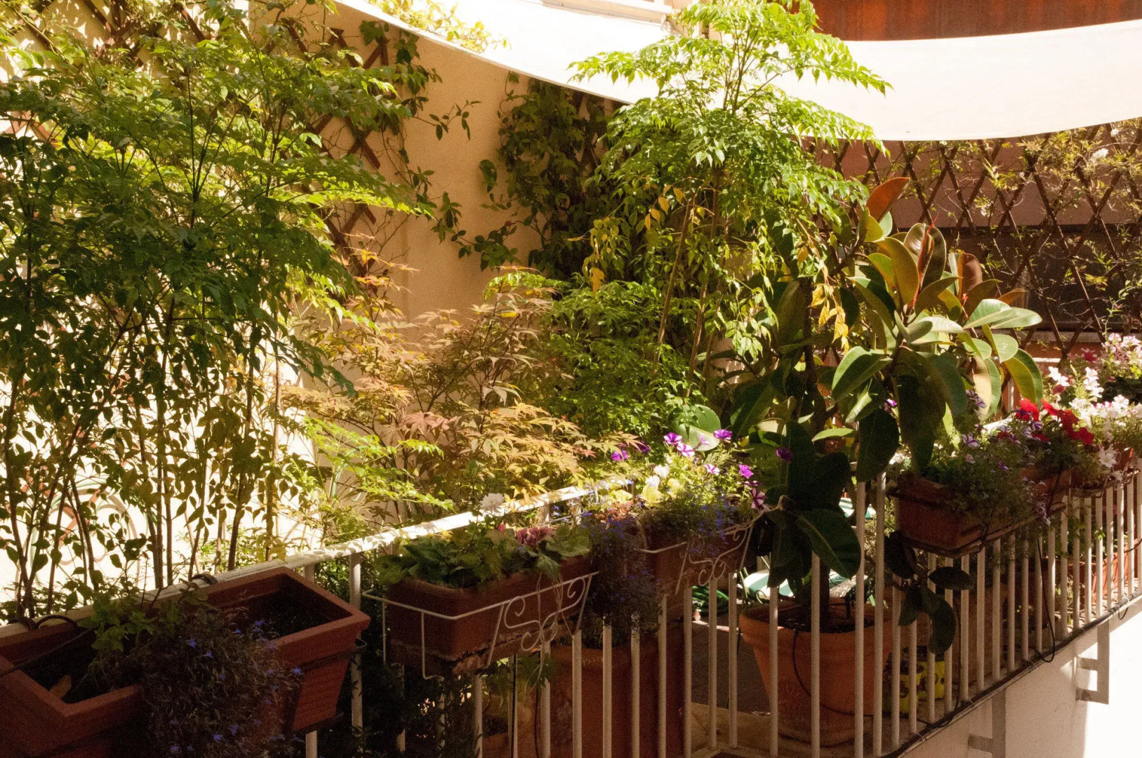 Photo - Relais Teatro Argentina