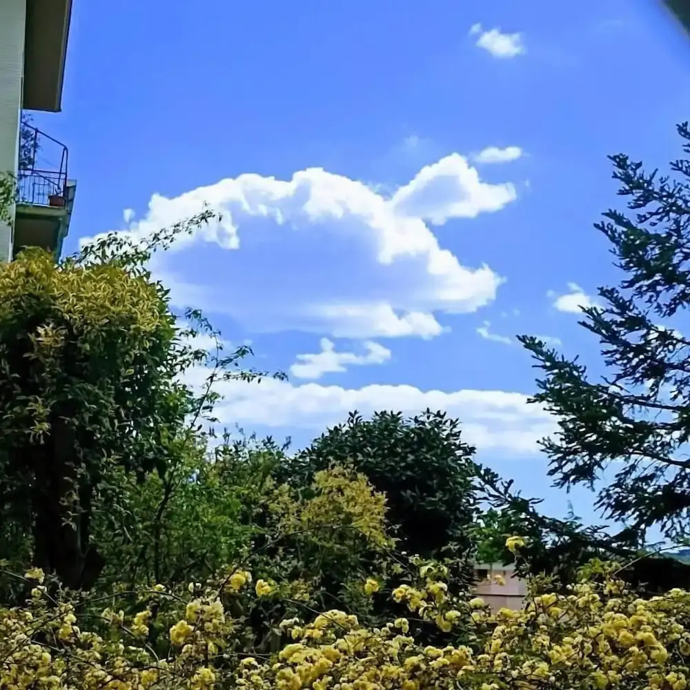 Foto - Ripe's FoRest Garden Guest House