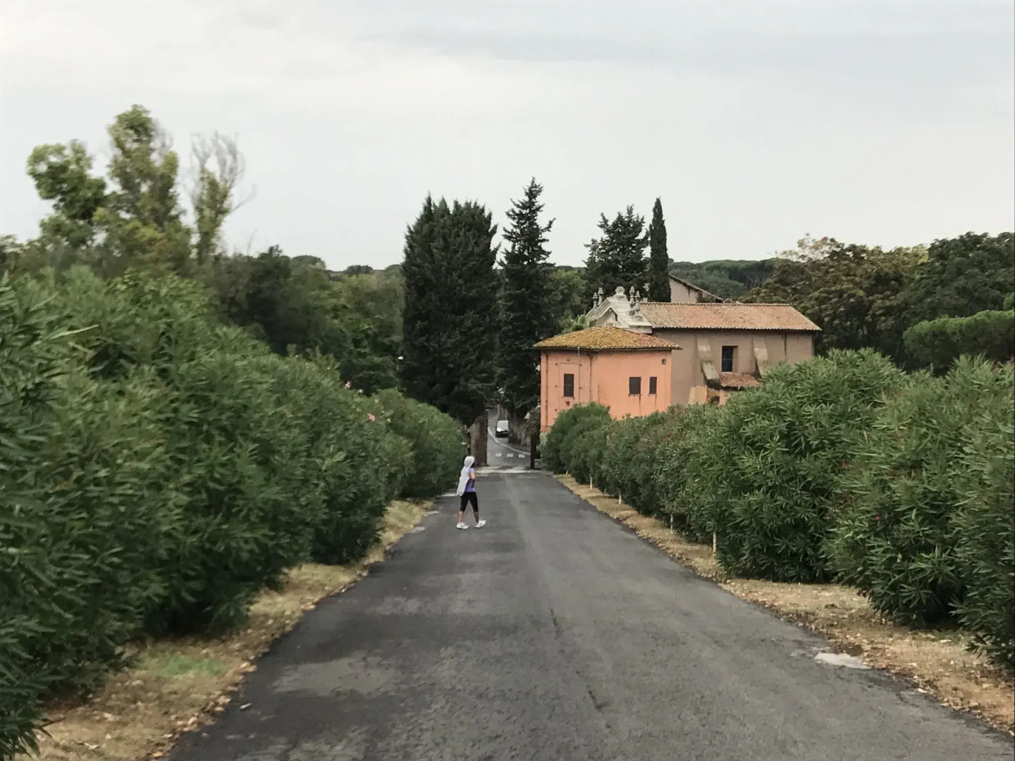 Photo - Atticoromantica