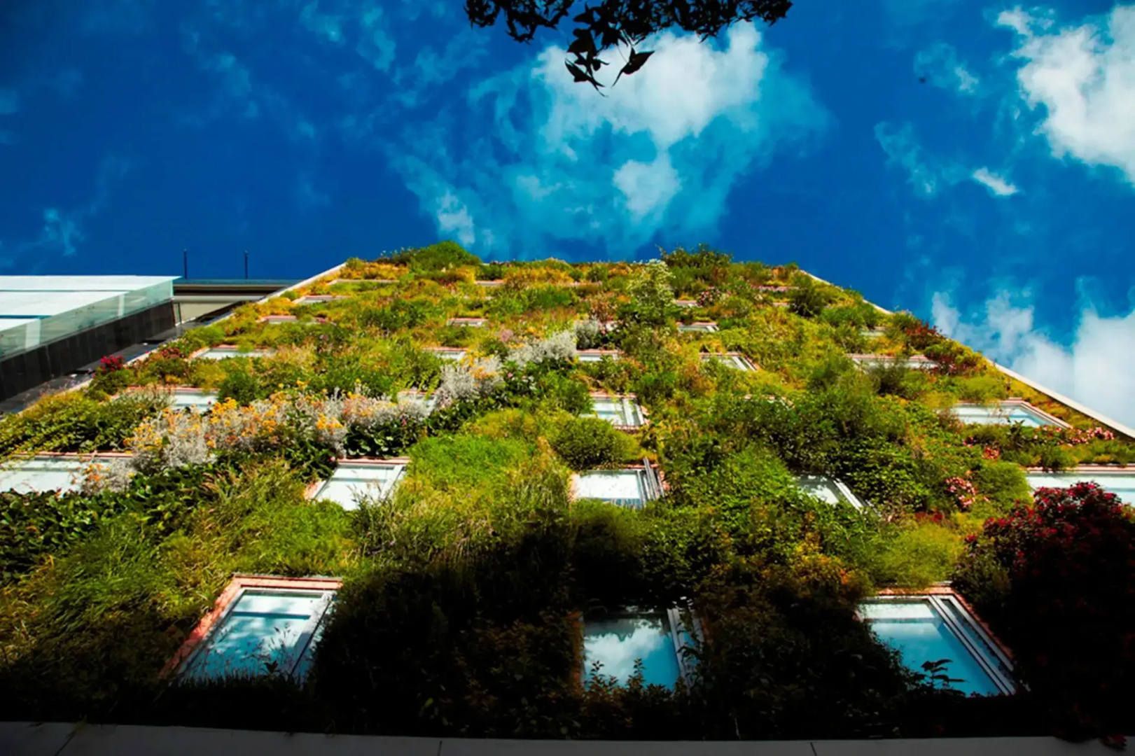 Foto - Hotel B3 Virrey