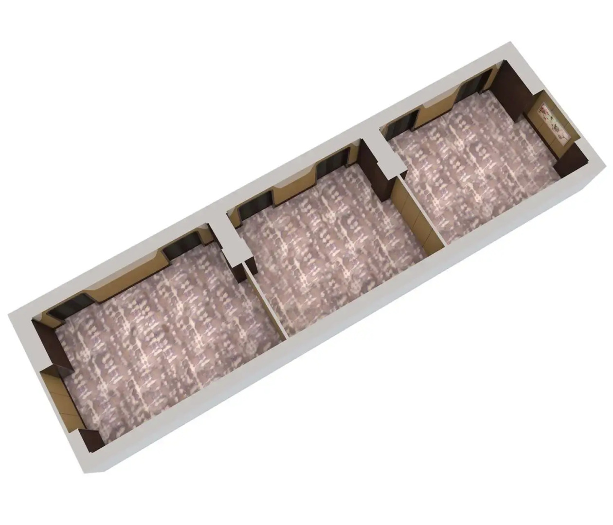 Photo - Conrad Manila