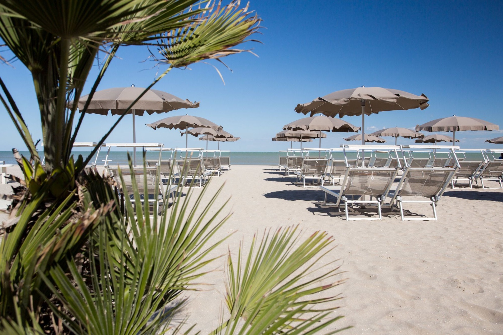 Foto - Hotel Solemare