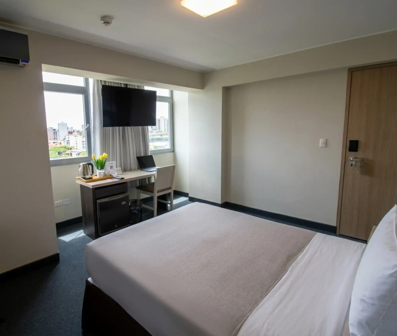 Photo - Palmetto Hotel Business San Miguel