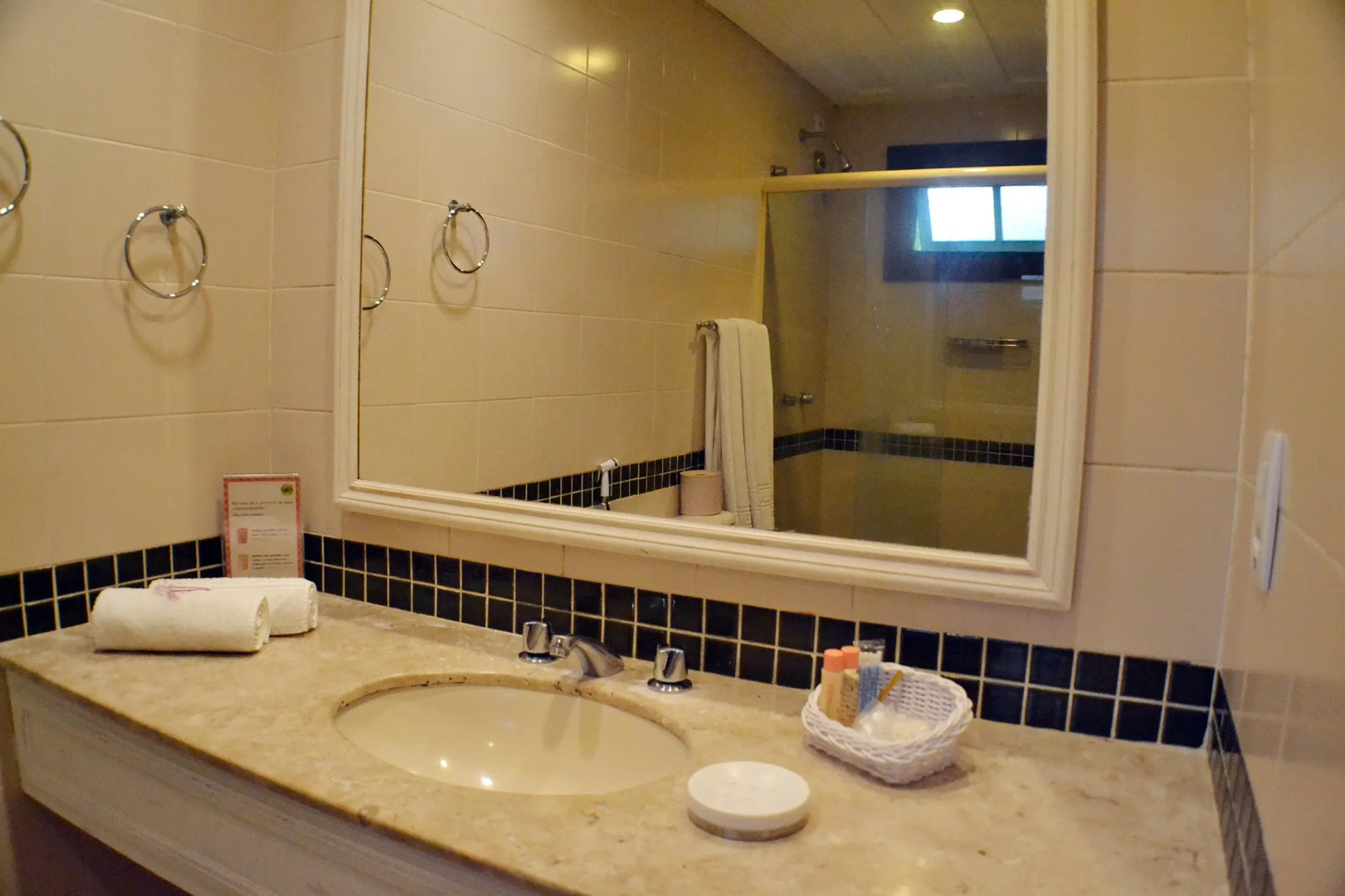 Foto - Corais e Conchas