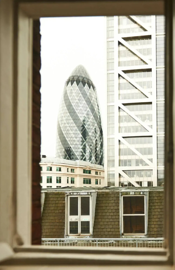 Photo - The Bull and The Hide