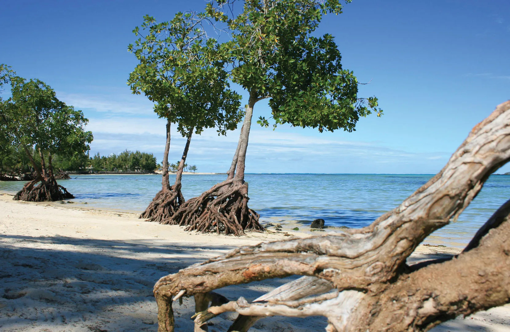 Photo - Jalsa Beach Hotel & Spa