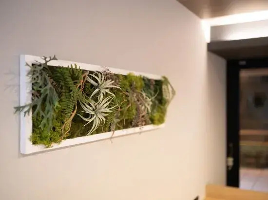 Foto - WELLSTAY Shinsekai Wakyo