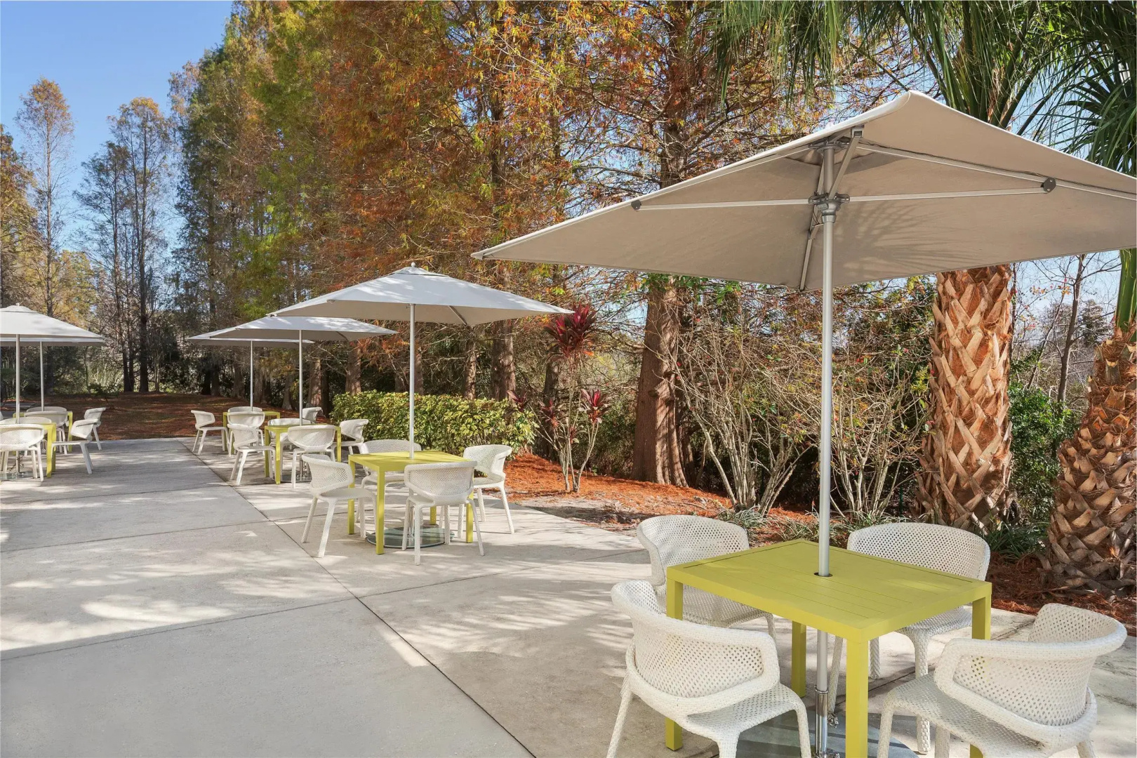 Foto - Hilton Garden Inn Tampa North