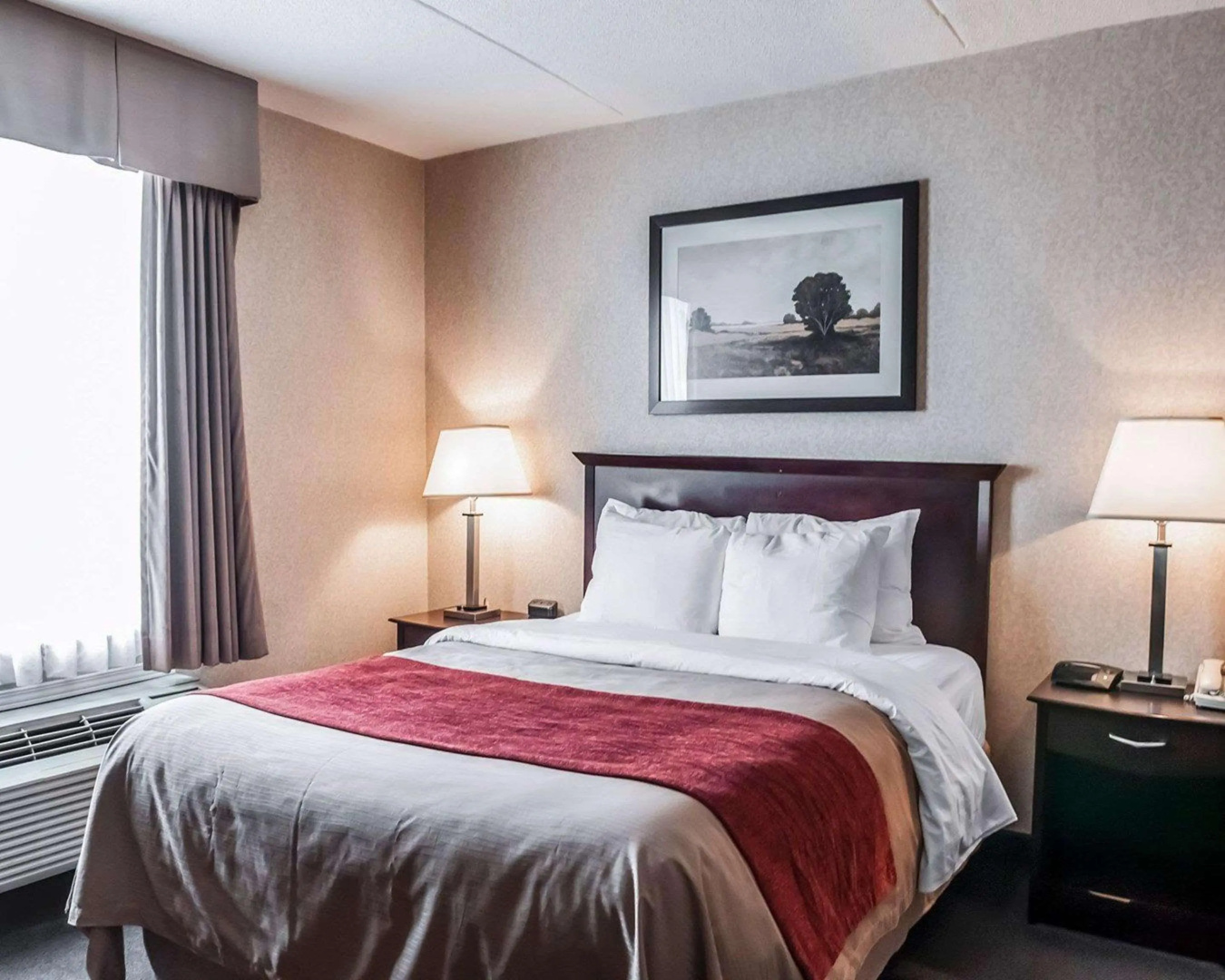 Foto - Comfort Inn Mississauga