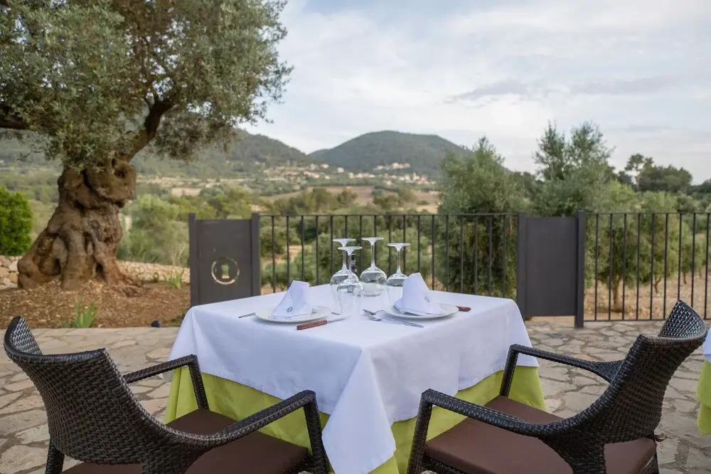 Foto - Fincahotel Treurer - Olive Grove & Grand House - Adults Only