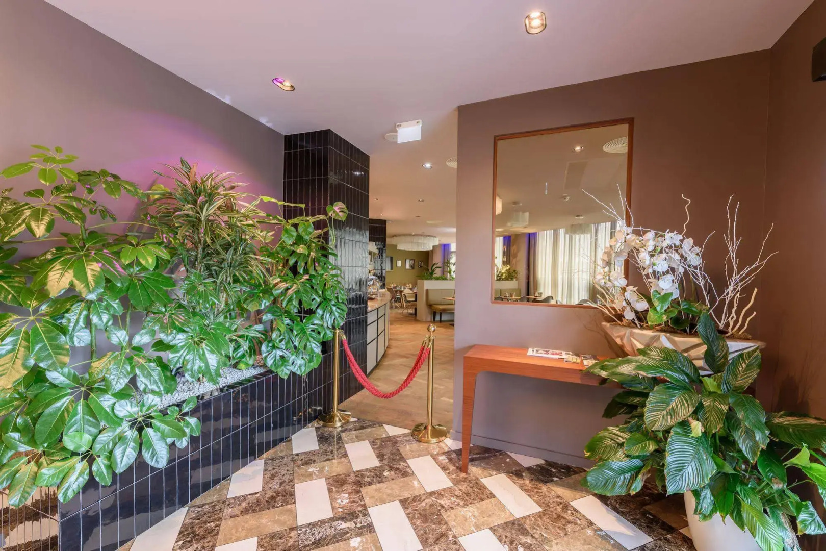 Foto - The Frankfurt