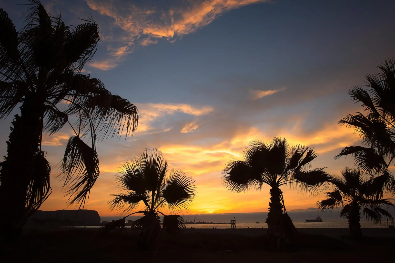 Photo - Novotel Arica