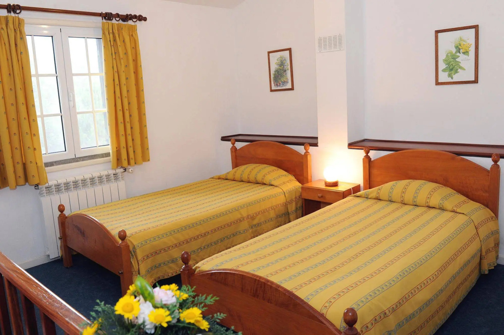 Foto - Quinta Santo Antonio Da Serra