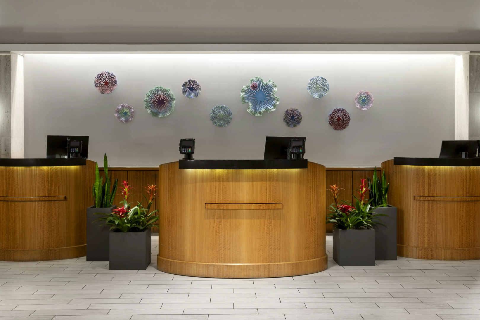 Foto - Embassy Suites By Hilton Tampa Airport Westshore