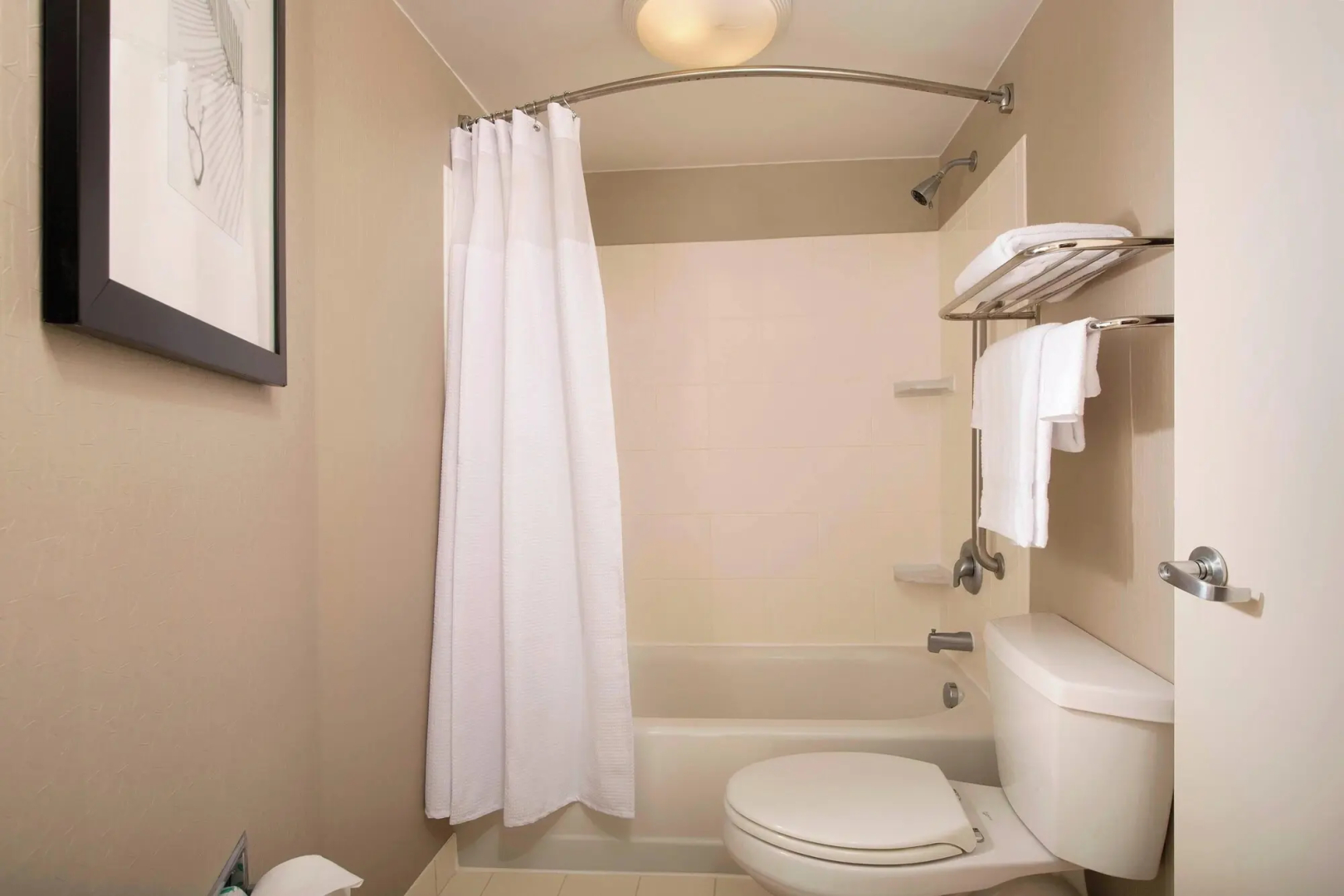 Photo - SpringHill Suites by Marriott Jacksonville North I-95 Area