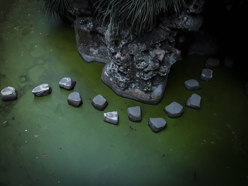 Photo - Quinta do Pé Descalço - Country Guesthouse in Sintra