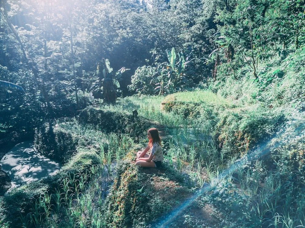 Foto - Desa Eko