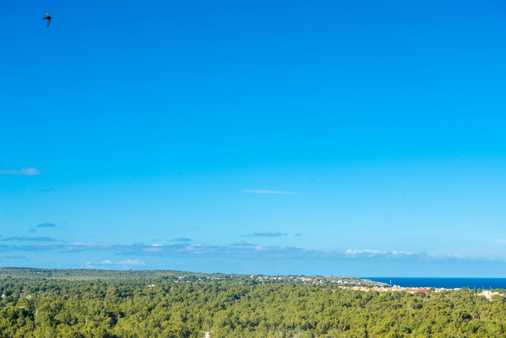 Photo - Hotel Torre Azul & Spa - Adults Only