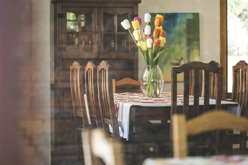 Foto - Pousada Tulipane Florianopolis