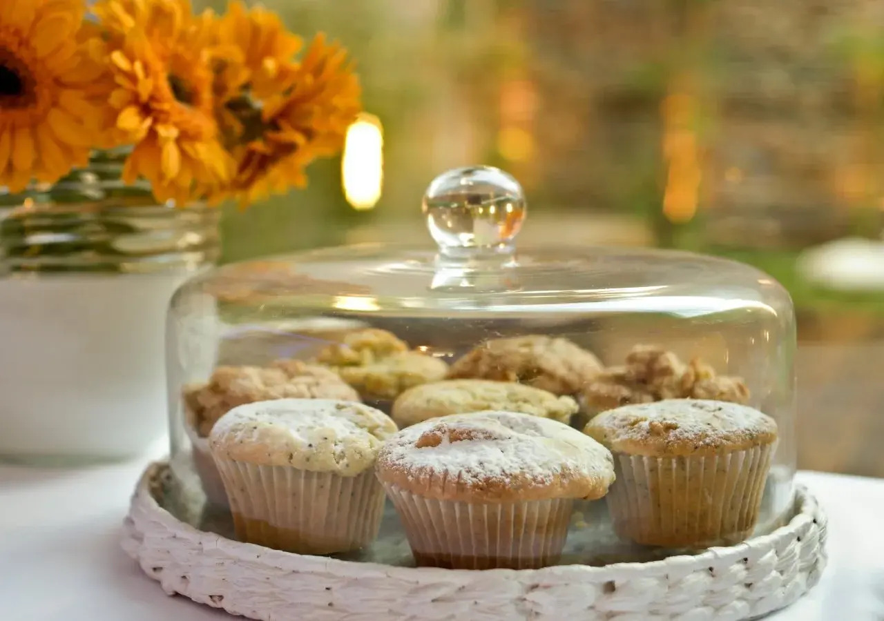 Foto - Ilum Experience Home