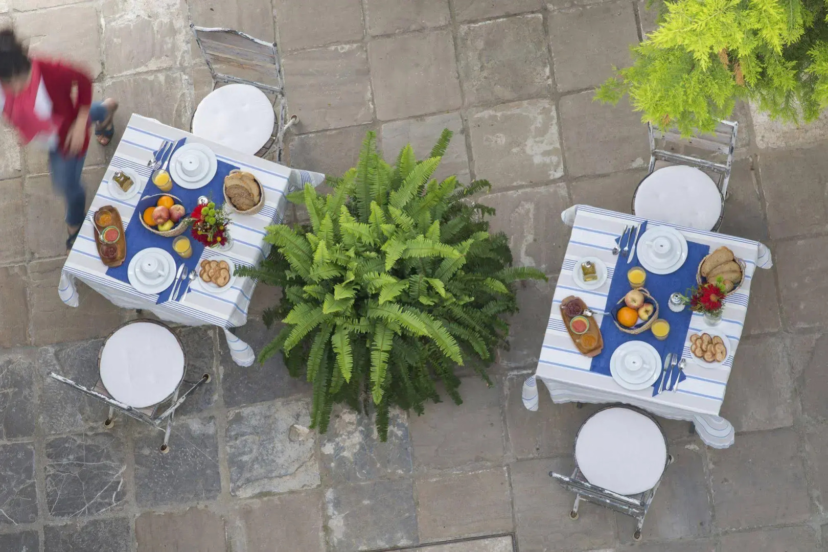 Foto - La Botica de Vejer