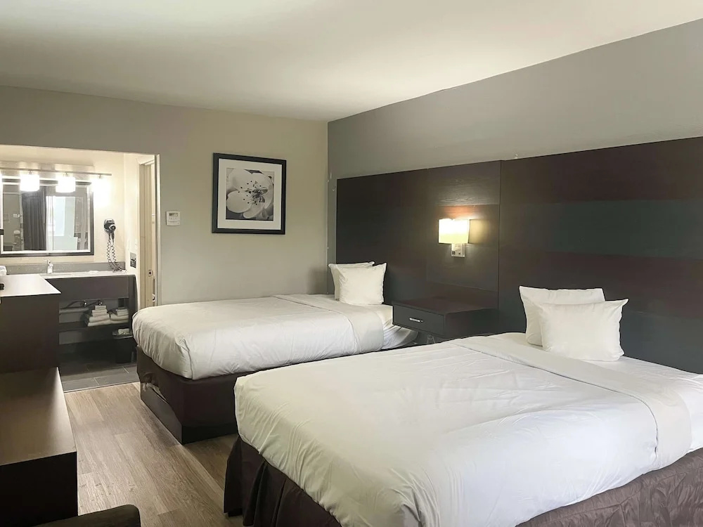 Foto - Motel 6 Charlotte, NC – Airport South