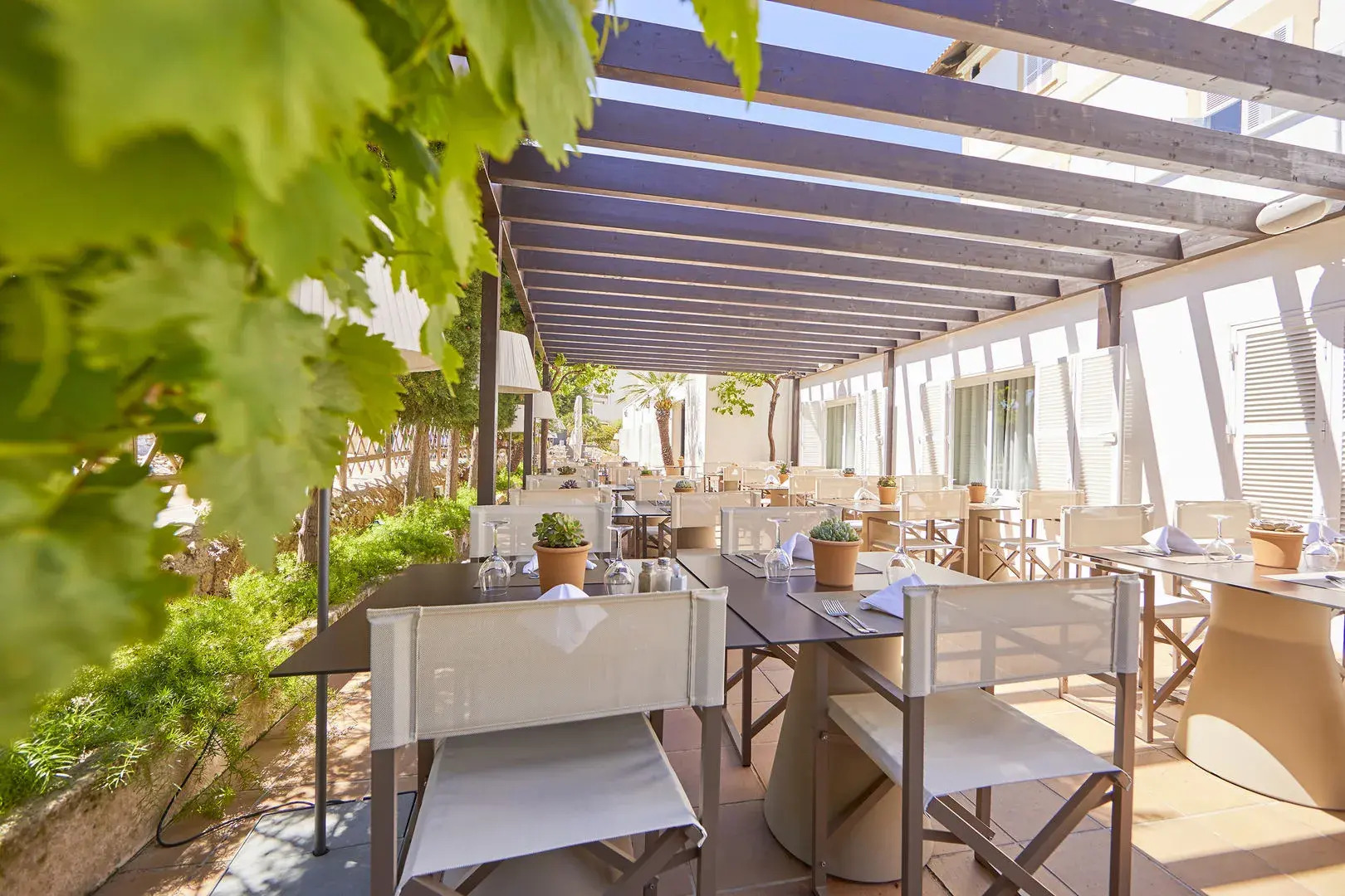 Photo - Prinsotel Mal Pas - Adults Only